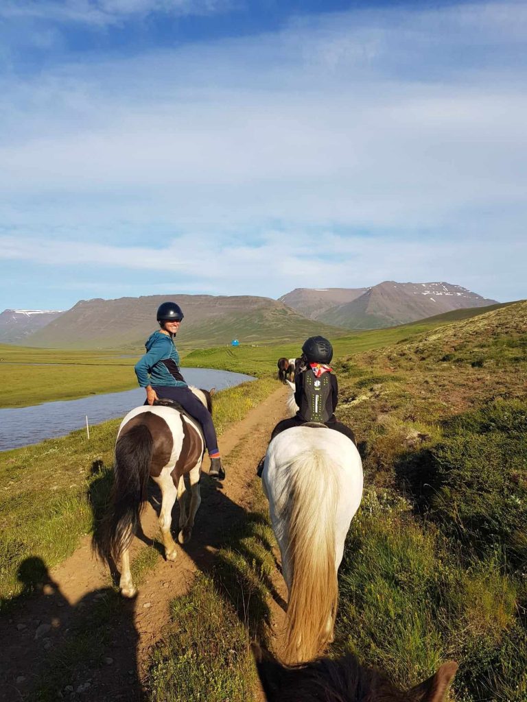 Perlen_des_Skagafjorðurs Reiter