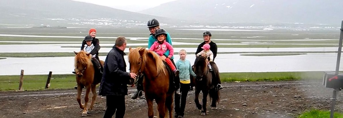 farmstay_icelandhorsetours.jpg